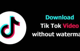 Downloading TikTok Video Without Any Effort