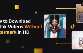 Empower Your With TikTok Video Downloading