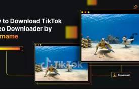 Revolutionizing User Video Downloading Experience From TikTok