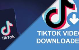 Your Foremost TikTok Video Downloader