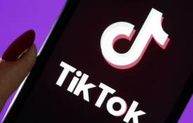Your Ultimate TikTok Video Downloader
