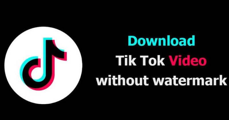 Downloading TikTok Video Without Any Effort