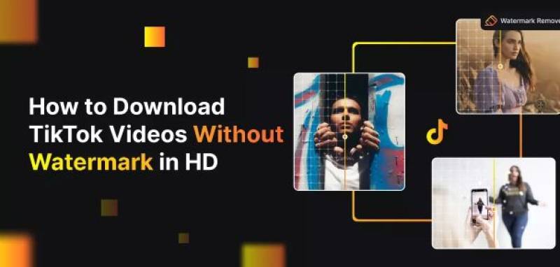 Empower Your With TikTok Video Downloading