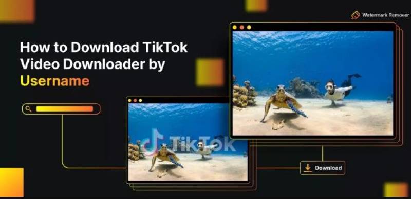 Revolutionizing User Video Downloading Experience From TikTok