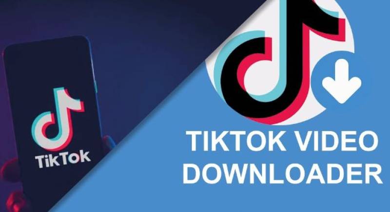 Your Foremost TikTok Video Downloader
