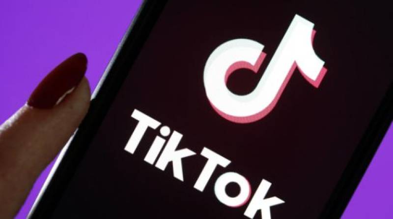 Your Ultimate TikTok Video Downloader